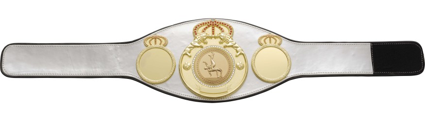 WRESTLING CHAMPIONSHIP BELT PROLION/G/WRESTG - AVAILABLE IN 6+ COLOURS WRESTLING CHAMPIONSHIP BELT PROLION/G/WRESTG - AVAILABLE IN 6+ COLOURS